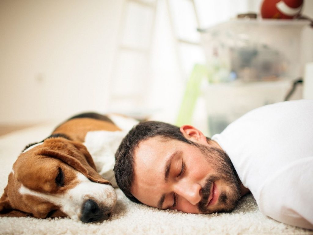 sieste de 20 minutes