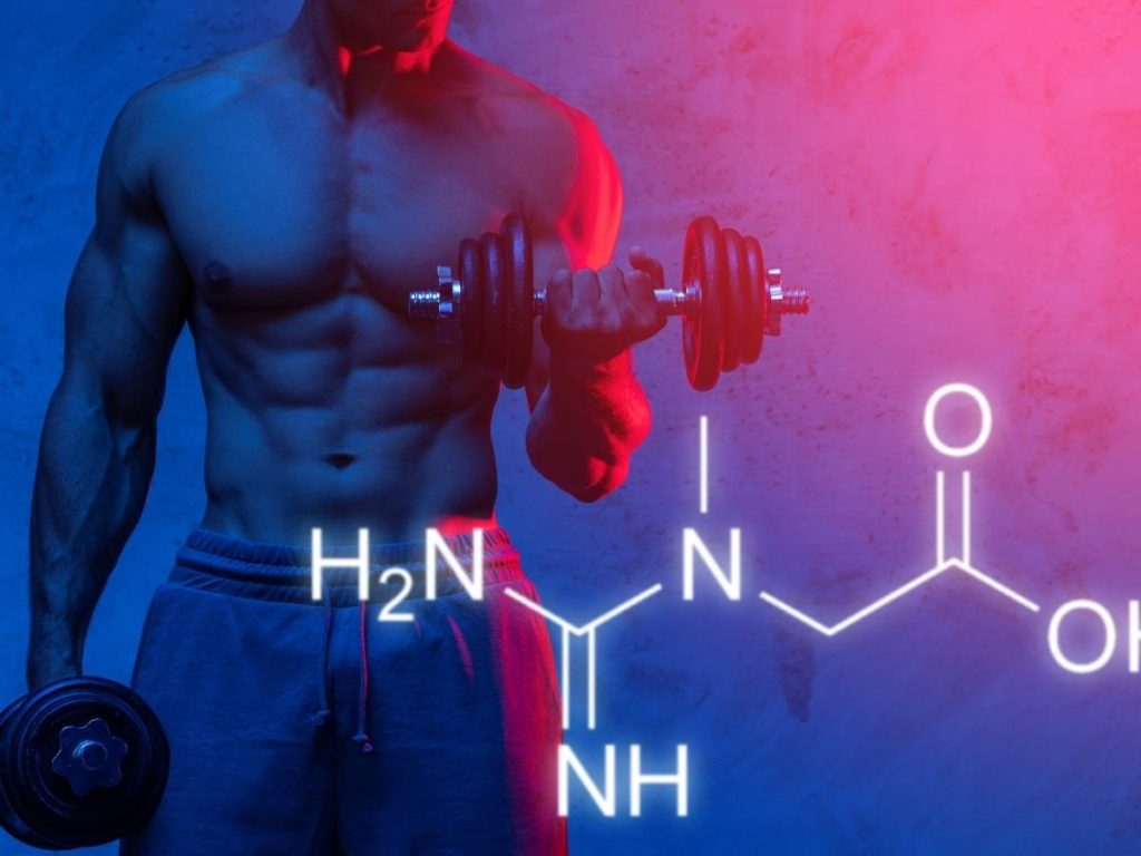 Combien de grammes de créatine par jour?