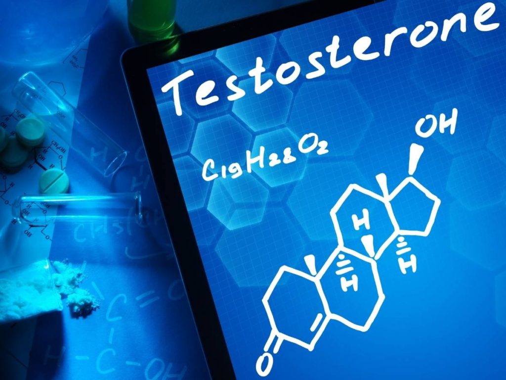 qu'est ce que la testostérone