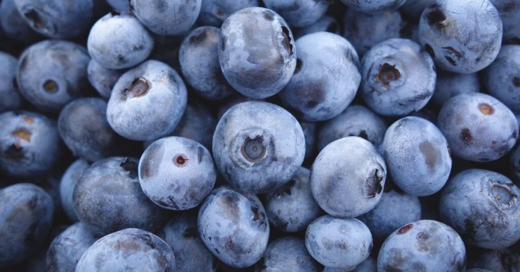 10 aliments pour renforcer son système immunitaire
