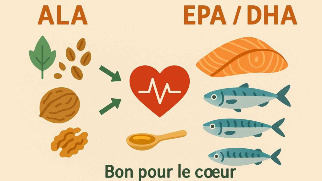 Oméga-3 : est-ce que c’est vraiment bon pour le cœur