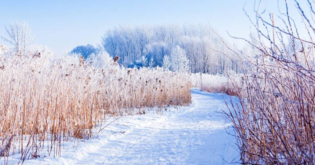 Parc national des Îles-de-Boucherville