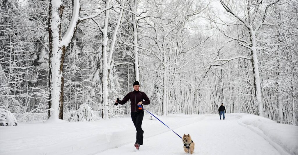 Où courir à Montréal en hiver - Mont Royal