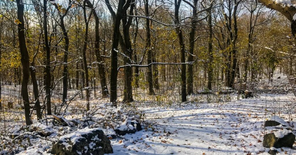 Où courir à Montréal en hiver - Parc nature de la pointe aux prairies