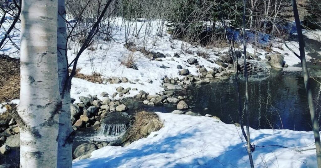 Courir l'hiver à Québec