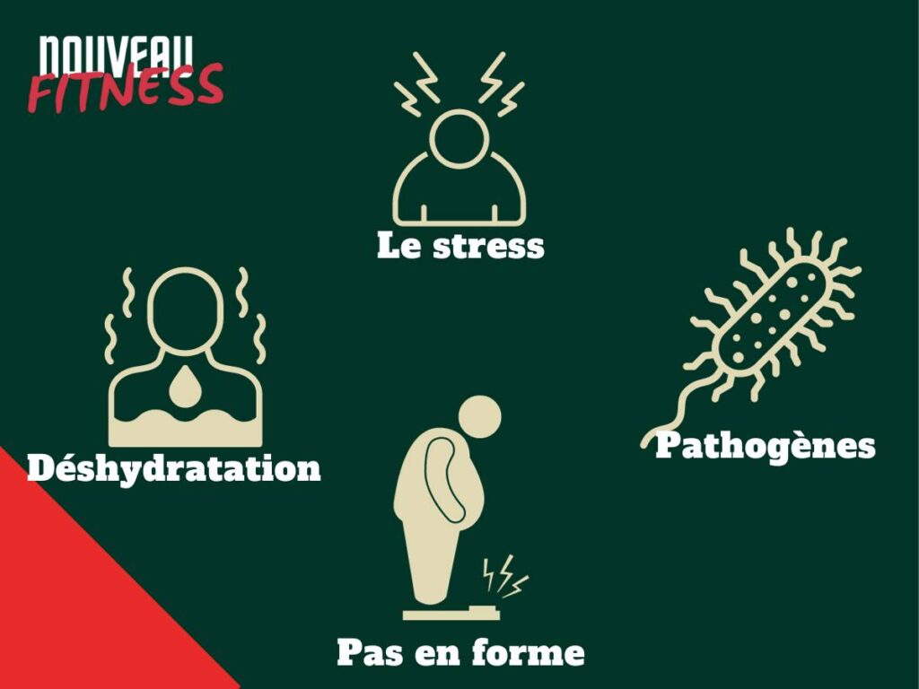 rythme cardiaque au repos