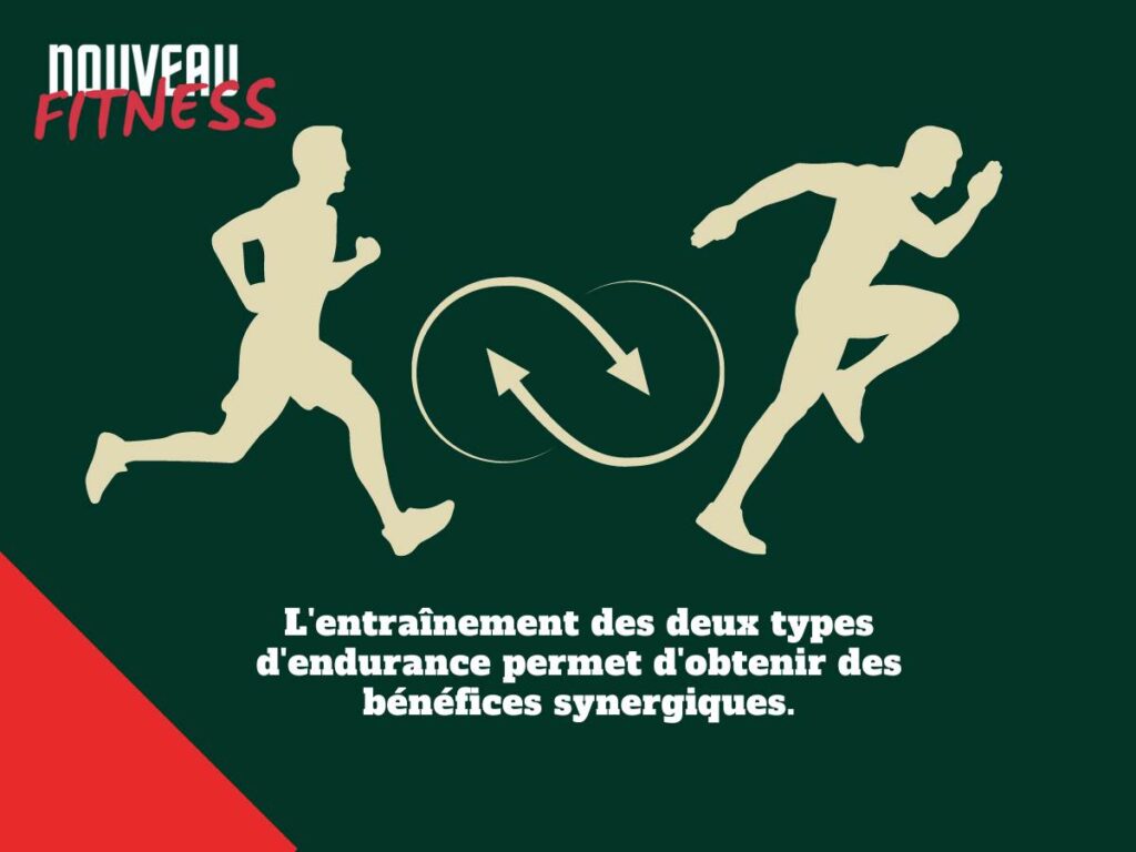 Endurance fondamentale vma