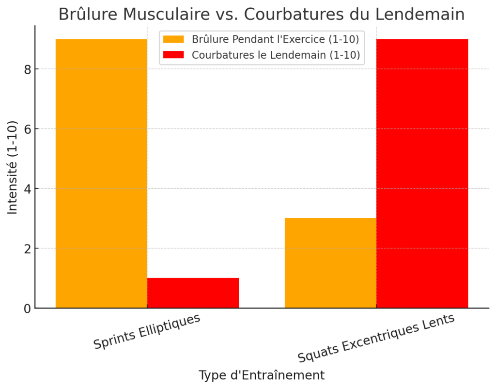 acide lactique et courbatures